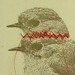 Fleurografie