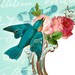 cdvcreations