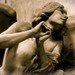 nephilimn
