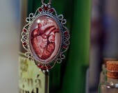 Red Anatomical heart cabochon covered pendant