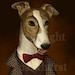 5x7 Particolor Greyhound Portrait Signed Print
