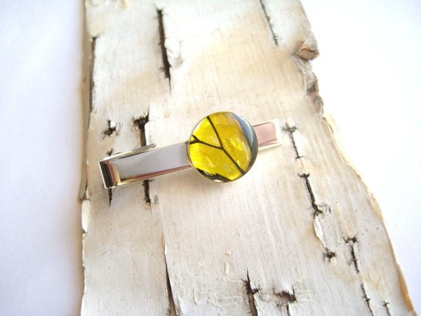 Yellow Butterfly Wing Tie Bar, mens accessory, special occasion, business man, natural