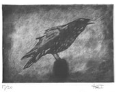 Crow printmaking etching original art print silk aquatint silk collograph bird art