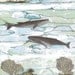 Whale Art Print , Whale Painting Reproduction , Mixed Media Collage Art , Whimsical Painting 5x7