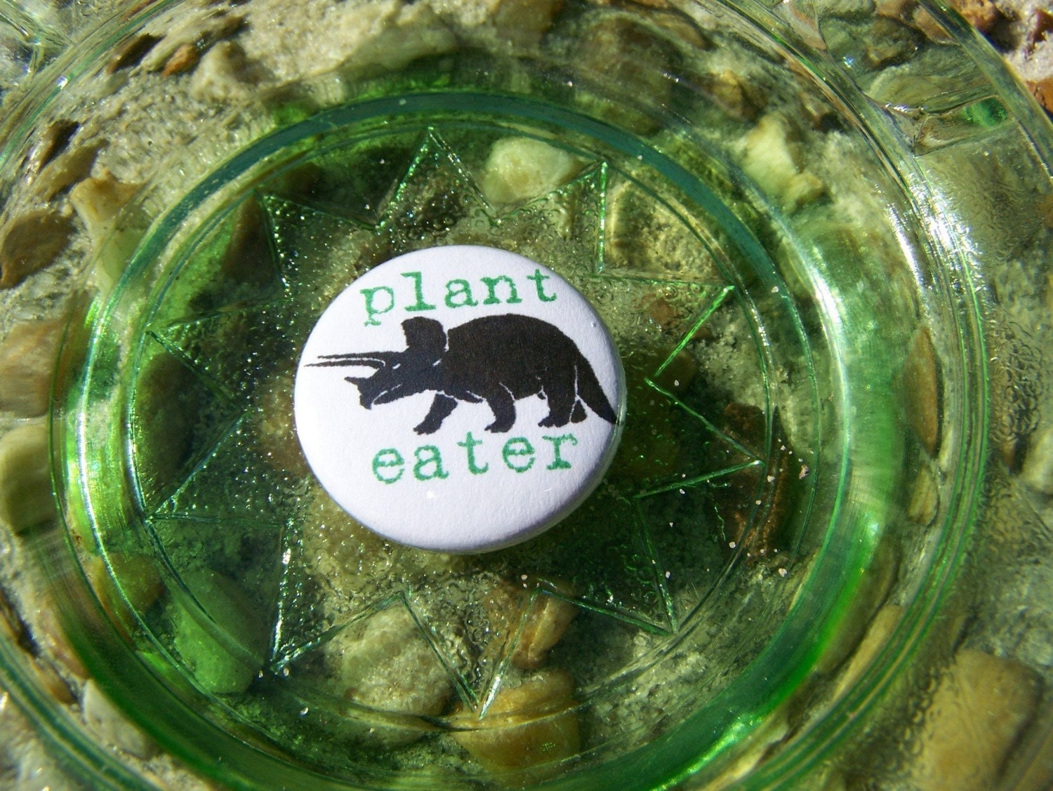 Triceratops Herbivore Dinosaur  Plant Eater 1 inch Pinback Button