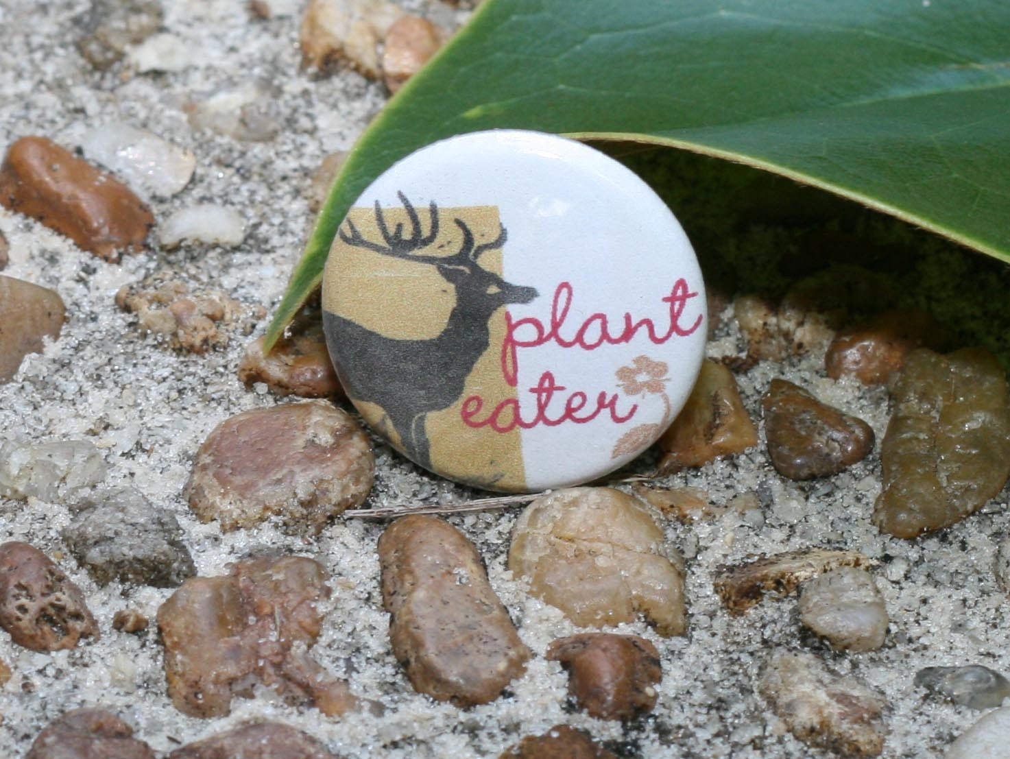 Deer Plant Eater 1 inch Pinback Button