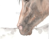 Original  Watercolor Painting - Horse Art - Spanish