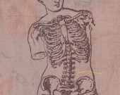 venus de milo patch