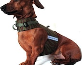 Eco Dog Harness - Renewable Green Leopard Cotton - Small