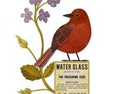 Bird No.12
