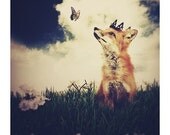 The Little Fox Prince, 8.5x11 inch Print, Fox Art, Fox Print, Woodland Fairytale Art Print