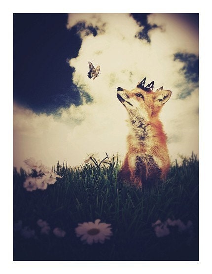 The Little Fox Prince, 8.5x11 inch Print, Fox Art, Fox Print, Woodland Fairytale Art Print