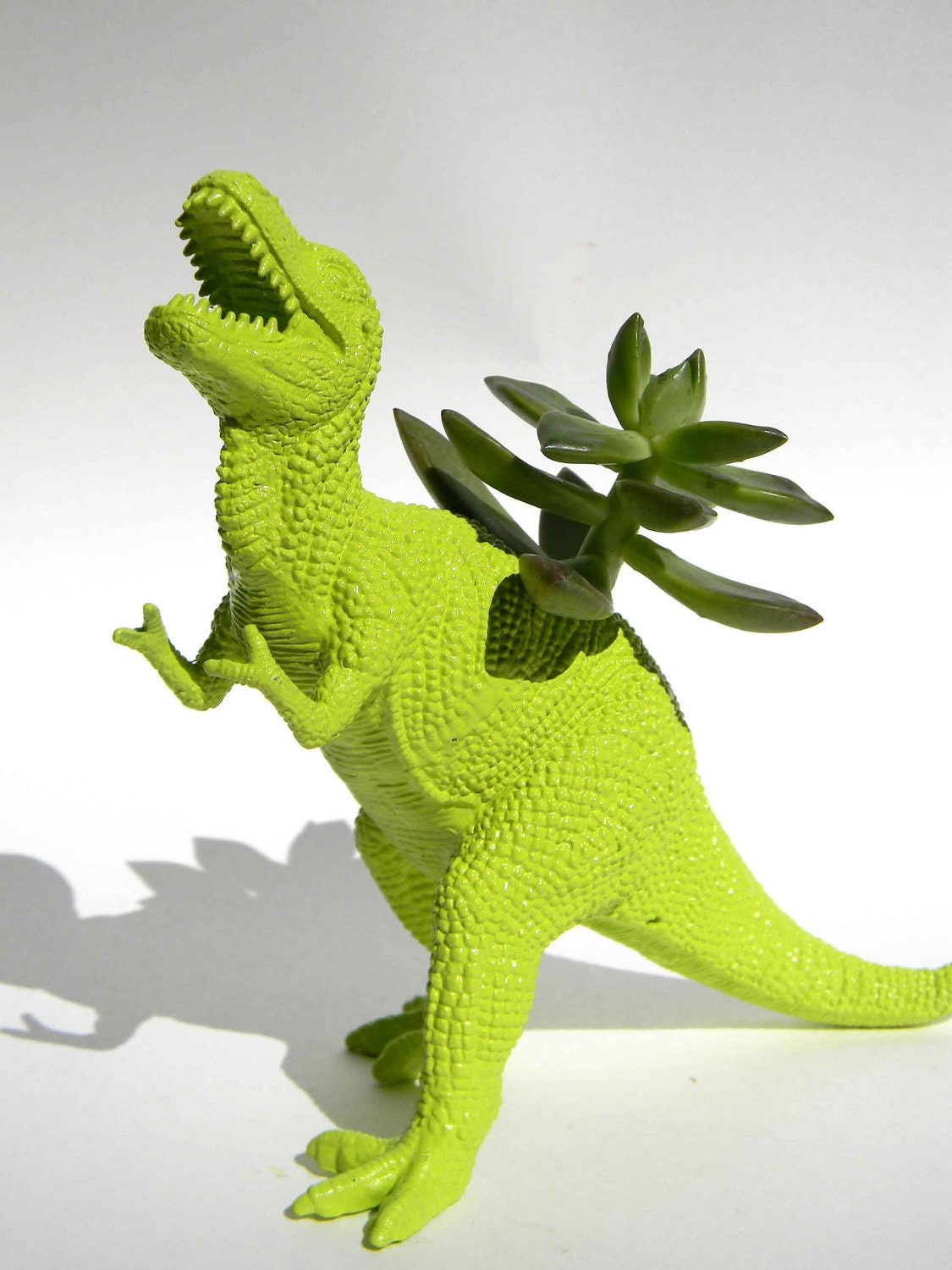 Unique Gift Dinosaur Planter TREX Great Dorm Office Home Decor Gift for Get Well  Boss' Teachers