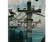 iPhone, Hawk, Big Brother iPhone Case for iPhone 4 and 4S