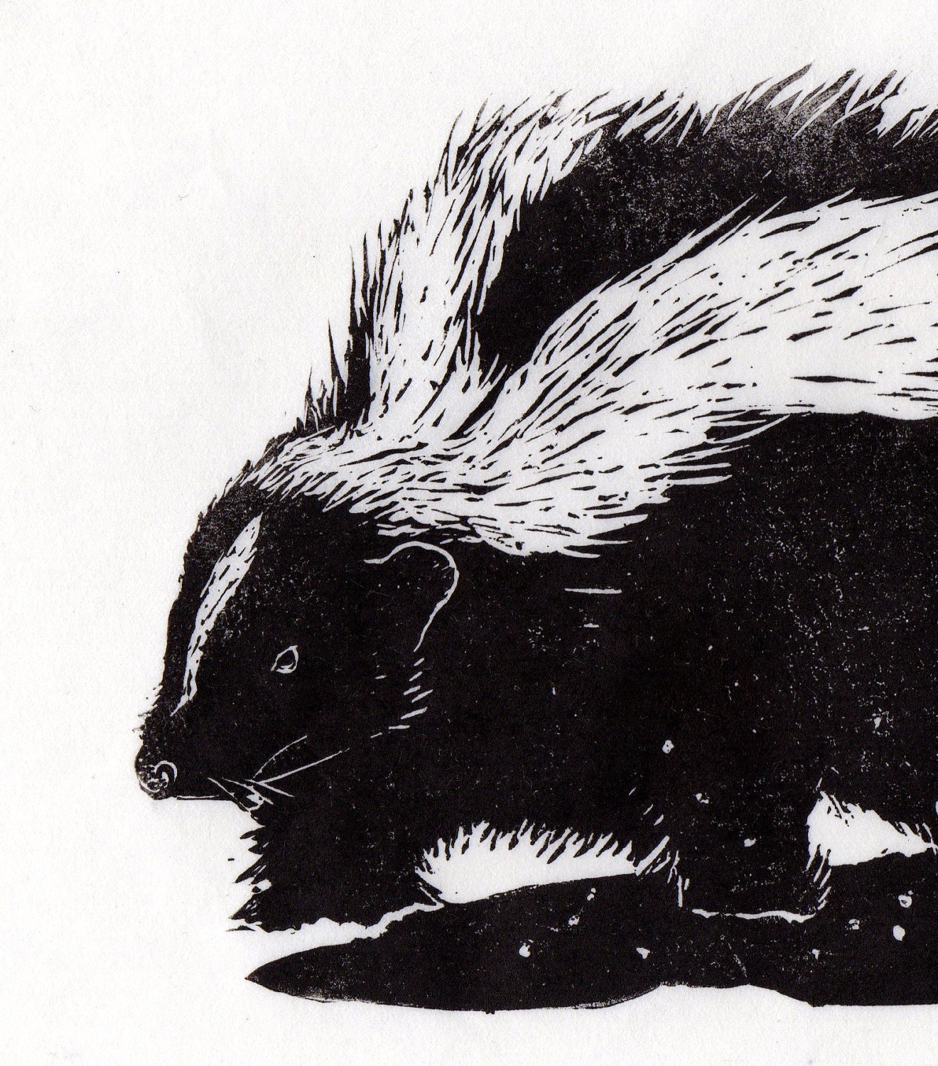 Skunk Marching Through Snow Linocut