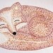 Sleepy Fox Hand Embroidery Pattern