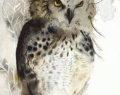 owl art - Great Horned Owl Archival print of watercolor- , rustic home decor, natural, owl art, men, for him