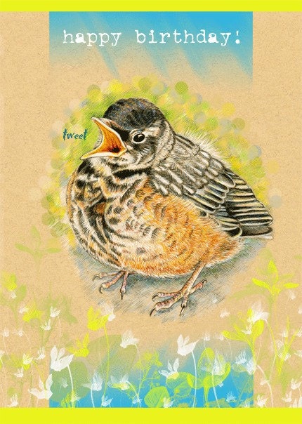 Bird Baby Robin Birthday Card