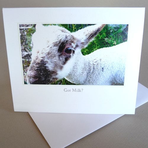 Greeting Card Spring Easter Lamb Barnyard Little Princess