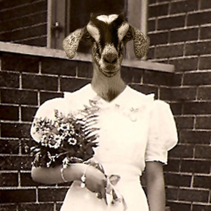 Sweet Hazel 5x7 Anthropomorphic print