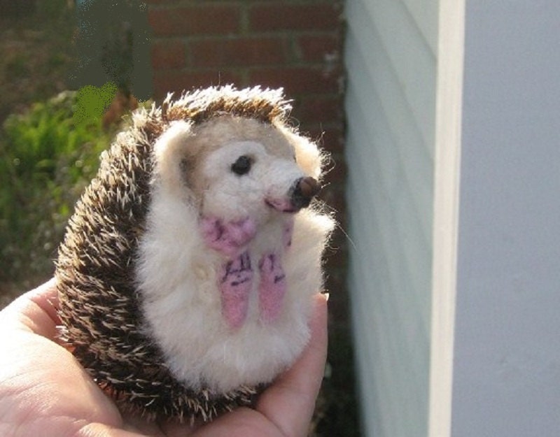 Handmade Animal Sculpture / Custom Pet Portrait / Needle Felted Hedgehog / Lifelike Figurine / Sweet Pea