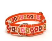1.5" dog collar Matilda wide buckle or martingale collar