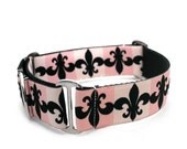 1.5" dog collar Marie Antoinette wide buckle or martingale collar