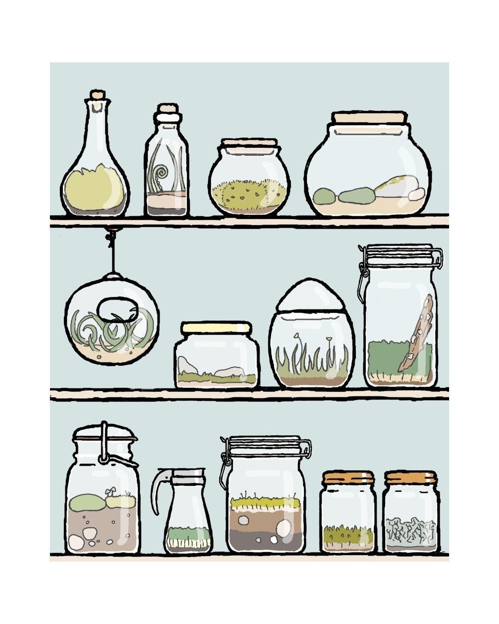 terrarium art: collector of worlds - 11x14 print