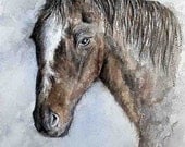 Horse artwork - Blaze - 5 x 7 inch print of my original watercolor painting