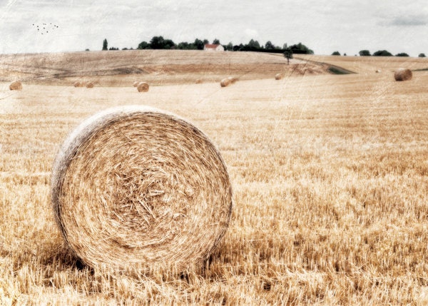 End of summer,  Landscape photography, Summer, Rustic Farmhouse, Harvest, french country home, farmhouse decor, Print 5x7 (13x18cm)