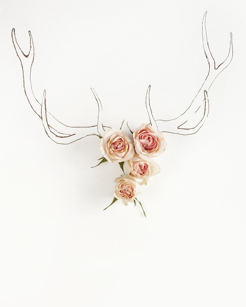 Antler illustration and Flower No. 4226