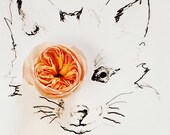 No. 9893 fox and flower