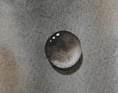 Oily Dew Drop an Original Watercolor Painting ACEO