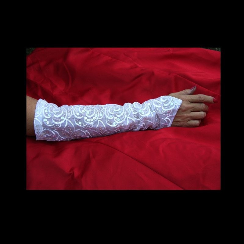 Embroidered French Net White Sleeves