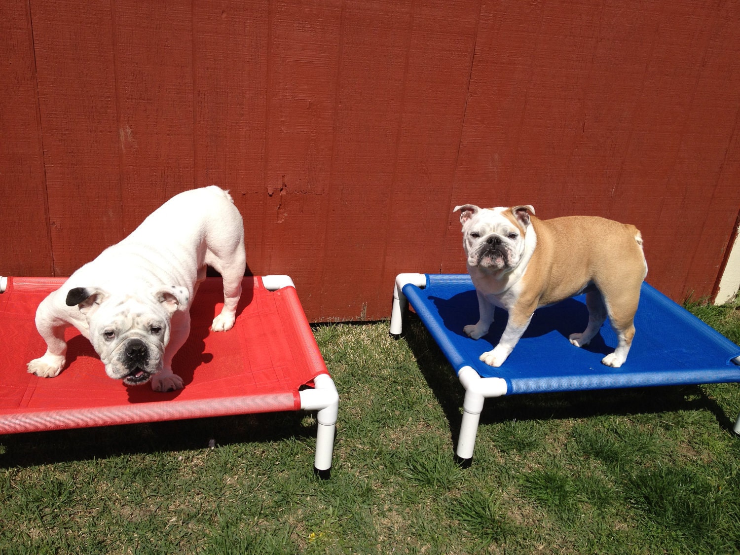 Dog Bed Mesh, Outdoor Pet Beds, PVC Dog Cot, 4 New Colors, 10 Mesh Colors, 28x36x8