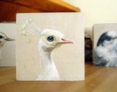 Print on Wood - White Peacock
