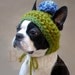 Size MEDIUM Blue Blossom Dog Hat with String Tie