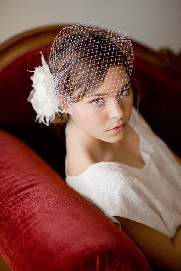Birdcage Veil, russian veil, bandeau veil, blusher, cage veil, french netting, Vintage, Wedding headpiece, Bridal, Michelle Ships in 1 Month