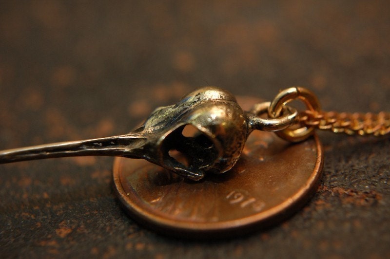 Bird Skull  Bronze Hummingbird Skull Pendant Necklace