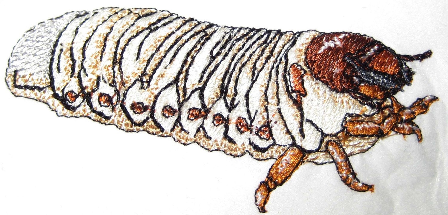 Ox Beetle Scarab Larva Grub Insect Rhino Stag Steam Punk Iron on Patch