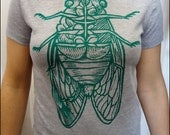 Cicada Women's Heathered Tshirt