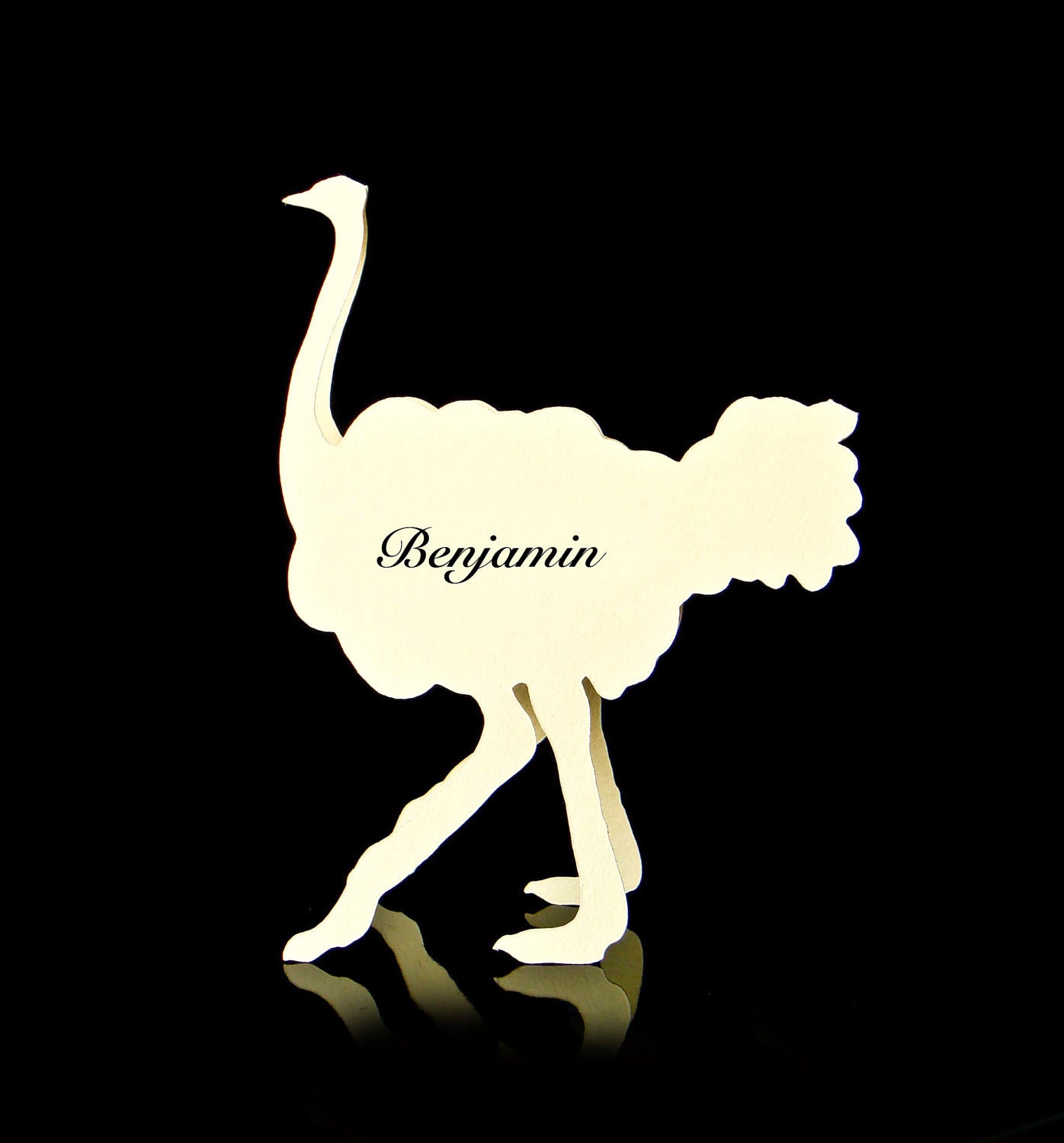 Wedding Place Cards - Place Cards - Ostrich Place Cards - Zoo - Bird - Escort Cards - Rustic Wedding - set of 100