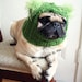 Dog Hat - Green with Envy Alien Hat