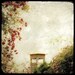 La Tour aux Rosiers - 8x8 Fine Art Print - Nature Photography - Etsy Wall Art - TFTeam - Architecture