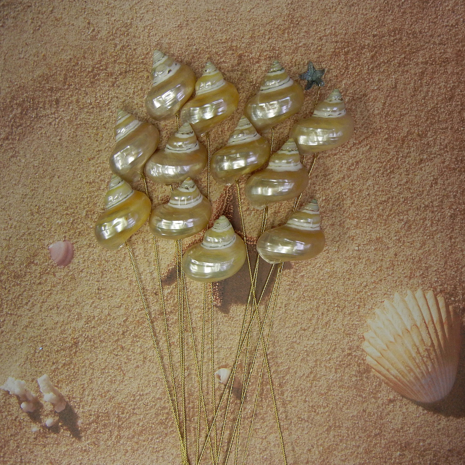 Polished Seashell Stems - 12 Golden Polished Turbo Pearly Swirl Seashells for Wedding Bouquet Bridal Bouquet or Centerpieces