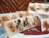 MiNiaTuRe Sea SHeLL PLaCeCaRDS in original box . ANTiQue EPHeMeRa TReaSuRe