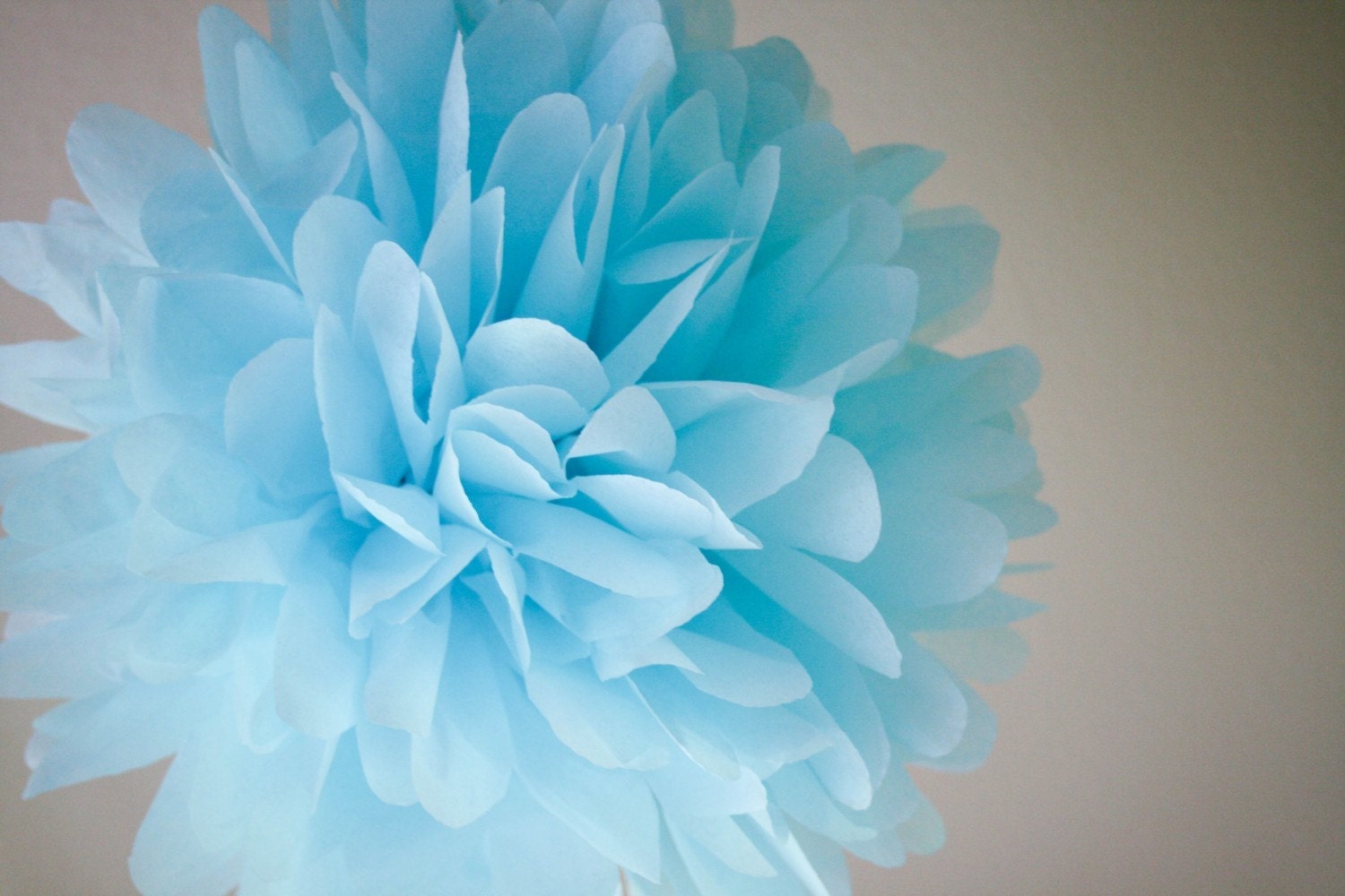 Sky - one pom