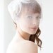 Tulle Polka Dot Blusher Veil