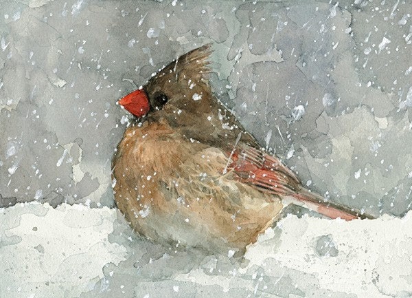 Cardinal Watercolor Art Print - studiotuesday