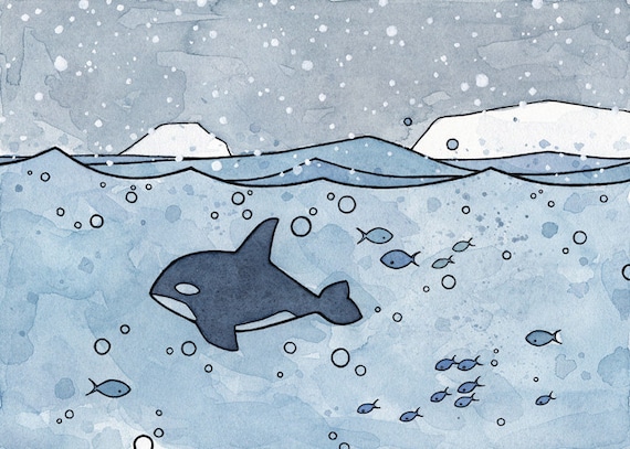 Killer Whale illustration watercolor print 5x7